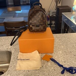 Louis Vuitton Palm Springs Mini EUC